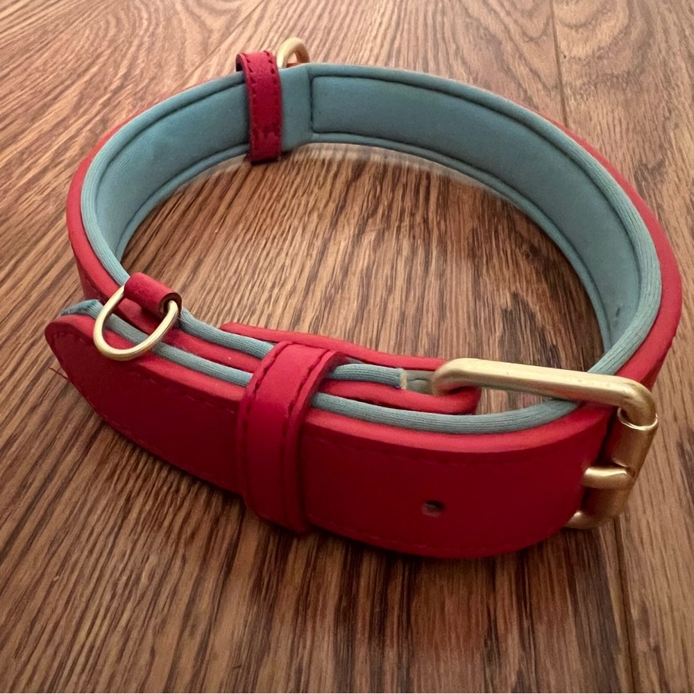 Bright Red Padded Dog Collar